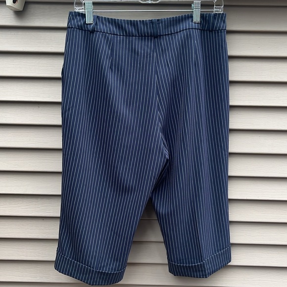 EUC striped bermuda shorts size 8 - Picture 3 of 10